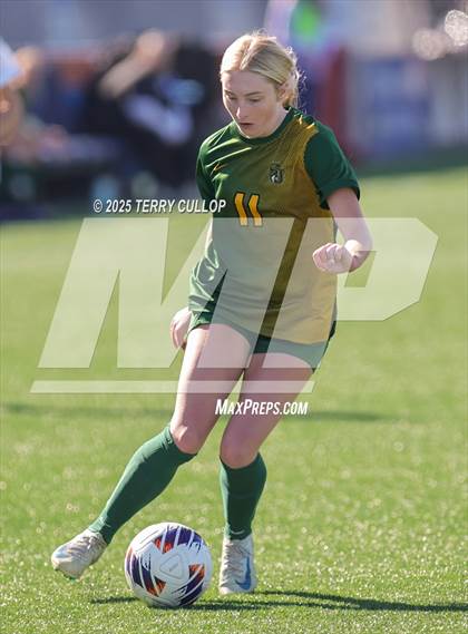 Thumbnail 1 in American Heritage vs. St. Joseph (UHSAA 2A Semi Final) photogallery.