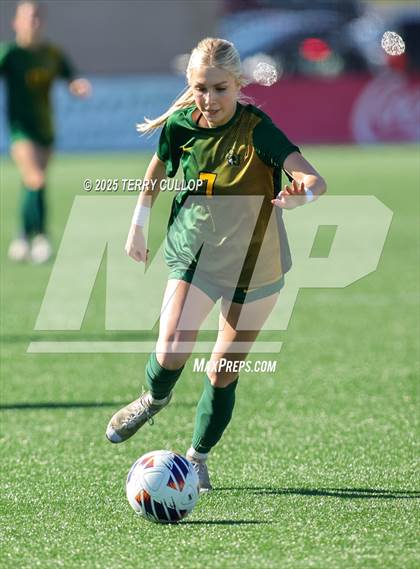 Thumbnail 2 in American Heritage vs. St. Joseph (UHSAA 2A Semi Final) photogallery.