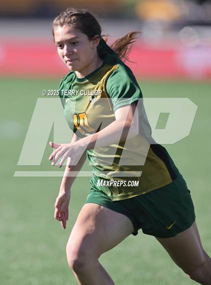 Thumbnail 3 in American Heritage vs. St. Joseph (UHSAA 2A Semi Final) photogallery.