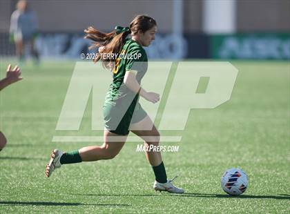 Thumbnail 2 in American Heritage vs. St. Joseph (UHSAA 2A Semi Final) photogallery.