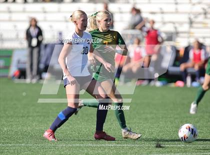 Thumbnail 1 in American Heritage vs. St. Joseph (UHSAA 2A Semi Final) photogallery.