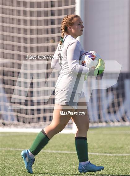 Thumbnail 2 in American Heritage vs. St. Joseph (UHSAA 2A Semi Final) photogallery.