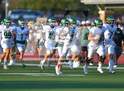 Thumbnail 1 in Cedar Park @ Vandegrift photogallery.