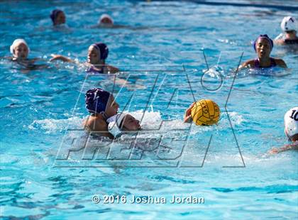 Thumbnail 1 in Warren vs Clark (Alamo Area Aquatics Association Round Robin) photogallery.