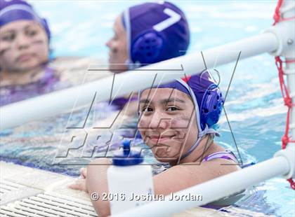 Thumbnail 1 in Warren vs Clark (Alamo Area Aquatics Association Round Robin) photogallery.