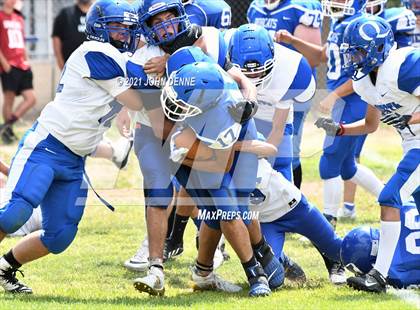 Thumbnail 2 in Questa @ McCurdy photogallery.