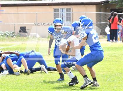 Thumbnail 3 in Questa @ McCurdy photogallery.