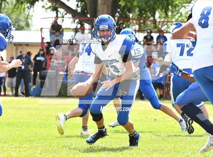 Thumbnail 3 in Questa @ McCurdy photogallery.