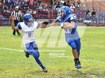 Thumbnail 3 in Questa @ McCurdy photogallery.