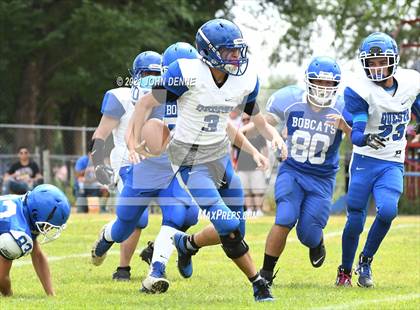 Thumbnail 3 in Questa @ McCurdy photogallery.
