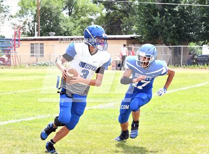 Thumbnail 2 in Questa @ McCurdy photogallery.