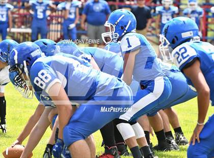 Thumbnail 2 in Questa @ McCurdy photogallery.