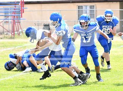 Thumbnail 1 in Questa @ McCurdy photogallery.