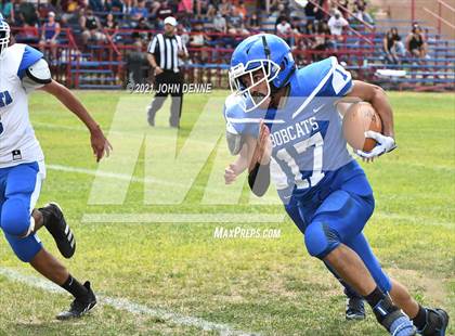 Thumbnail 2 in Questa @ McCurdy photogallery.