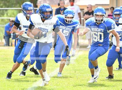 Thumbnail 3 in Questa @ McCurdy photogallery.