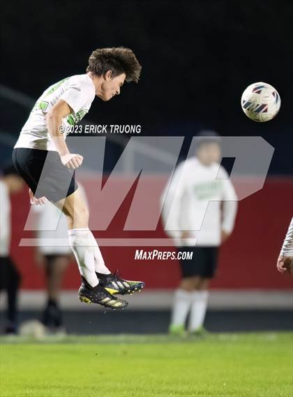 Thumbnail 2 in Gulf @ Springstead photogallery.