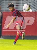 Photo from the gallery "Gulf @ Springstead"