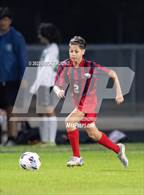 Photo from the gallery "Gulf @ Springstead"