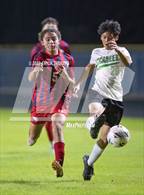 Photo from the gallery "Gulf @ Springstead"
