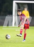Photo from the gallery "Gulf @ Springstead"