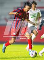 Photo from the gallery "Gulf @ Springstead"
