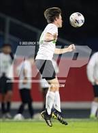 Photo from the gallery "Gulf @ Springstead"