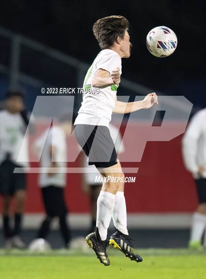 Thumbnail 1 in Gulf @ Springstead photogallery.