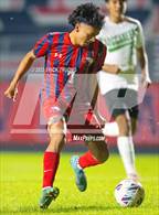 Photo from the gallery "Gulf @ Springstead"