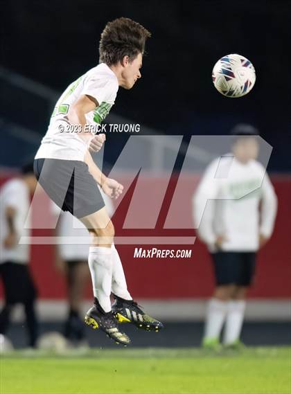 Thumbnail 3 in Gulf @ Springstead photogallery.