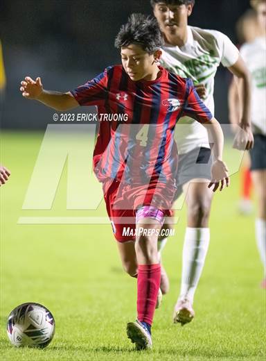 null - Photo 11