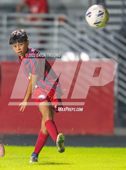 Thumbnail 2 in Gulf @ Springstead photogallery.