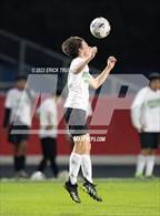 Photo from the gallery "Gulf @ Springstead"