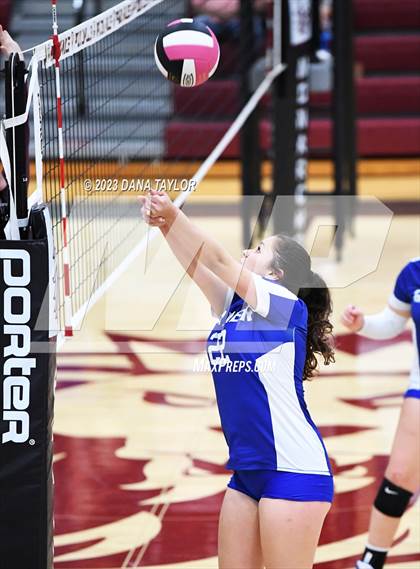 Thumbnail 2 in Garner @ Poolville photogallery.