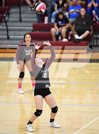 Thumbnail 1 in Garner @ Poolville photogallery.