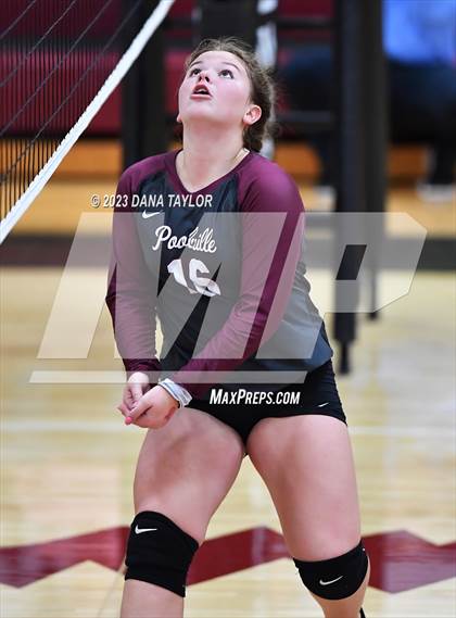 Thumbnail 2 in Garner @ Poolville photogallery.