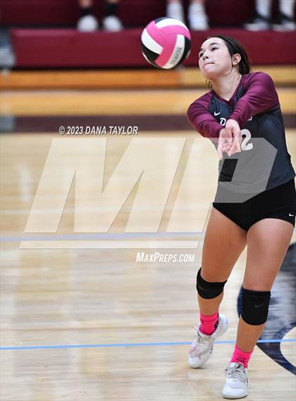 Thumbnail 3 in Garner @ Poolville photogallery.