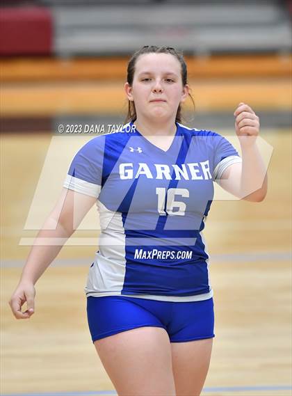 Thumbnail 3 in Garner @ Poolville photogallery.