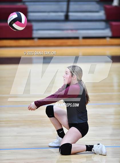 Thumbnail 1 in Garner @ Poolville photogallery.