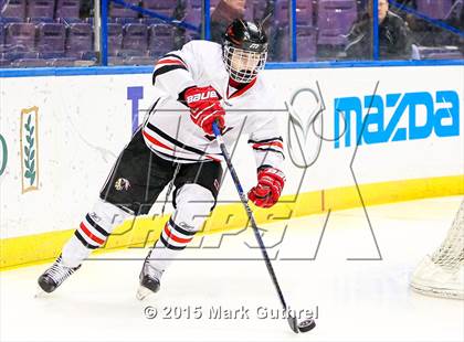Thumbnail 1 in Fox vs. Howell North (Wickenheiser Cup) photogallery.