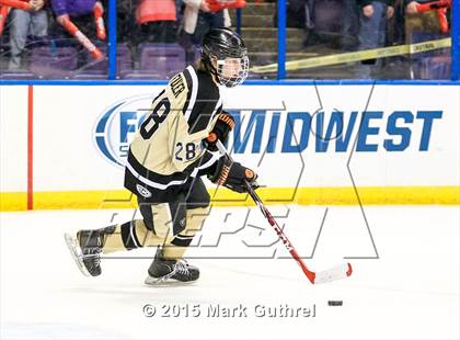 Thumbnail 1 in Fox vs. Howell North (Wickenheiser Cup) photogallery.