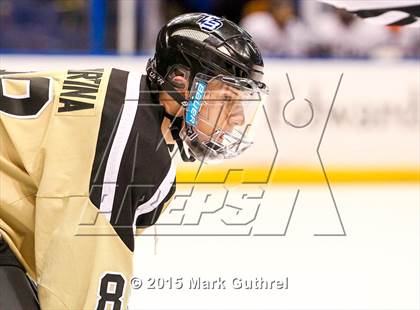 Thumbnail 2 in Fox vs. Howell North (Wickenheiser Cup) photogallery.