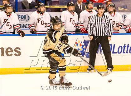 Thumbnail 1 in Fox vs. Howell North (Wickenheiser Cup) photogallery.