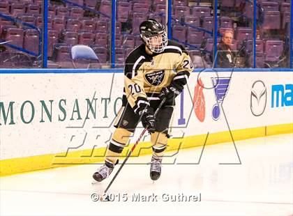 Thumbnail 2 in Fox vs. Howell North (Wickenheiser Cup) photogallery.