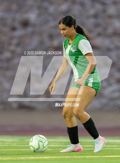 Thumbnail 2 in Foothill @ Virgin Valley photogallery.