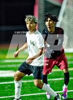 Photo from the gallery "Monterey Trail @ Laguna Creek"