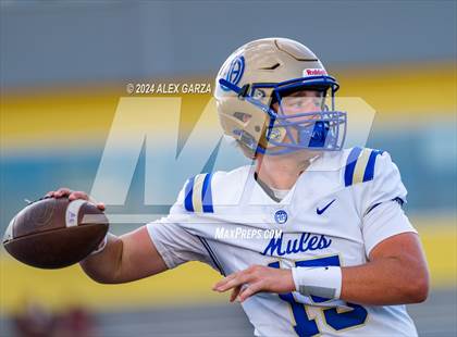 Thumbnail 2 in Alamo Heights @ Harlandale photogallery.