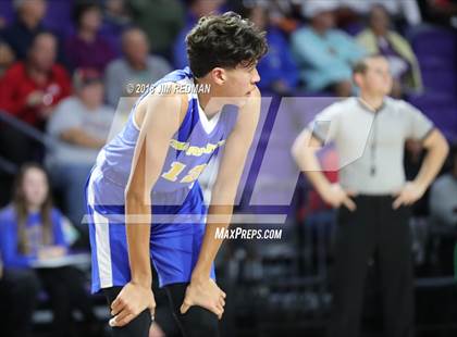 Thumbnail 2 in Osceola vs.  Charlotte (City of Palms Classic) photogallery.