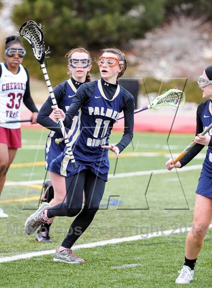 Thumbnail 1 in Palmer Ridge @ Cherokee Trail photogallery.