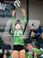 Photo from the gallery "Brenham @ Rudder"