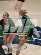 Photo from the gallery "Brenham @ Rudder"